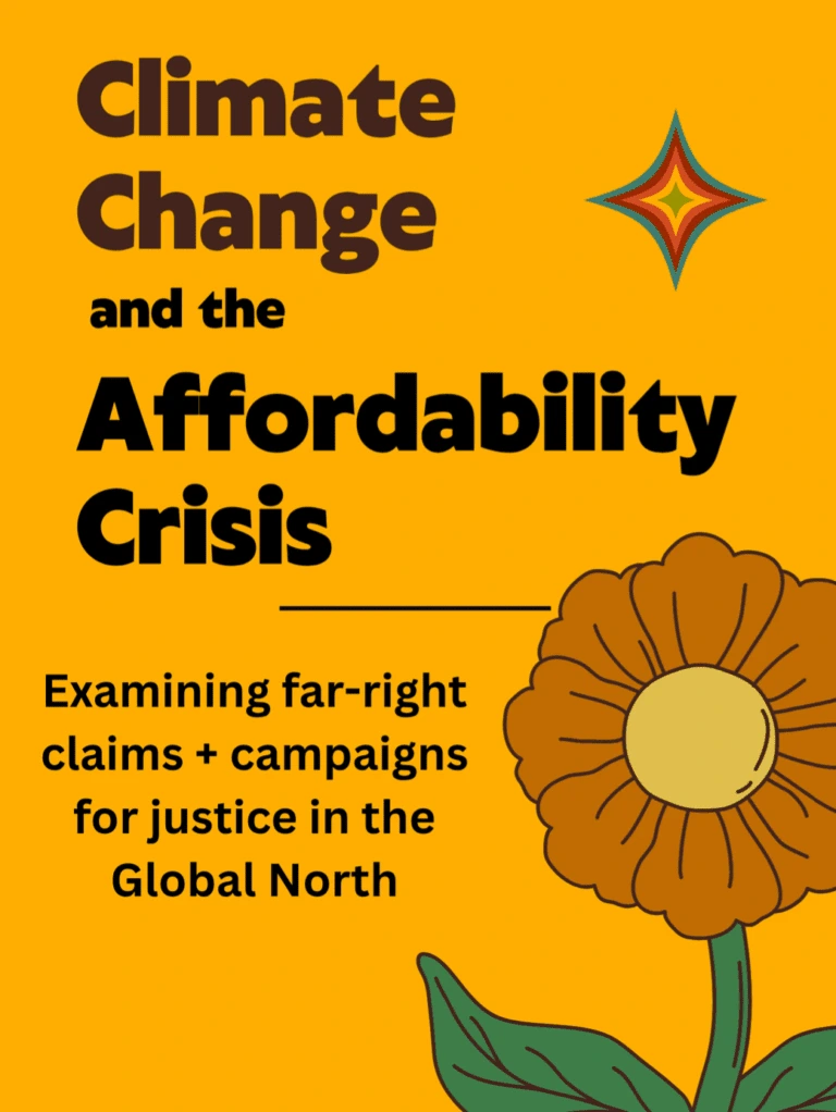 Title reads 'Climate change and the affordability crisis in the Global North – Zine'. Illustration of a flower.