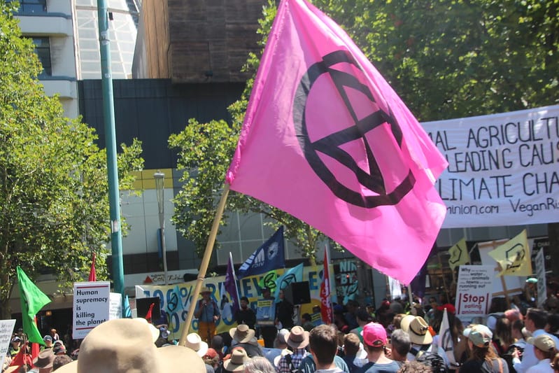 protestors marching down street in Melbourne. Feature of the image is a large pink flag with the Extinction Rebellion logo.