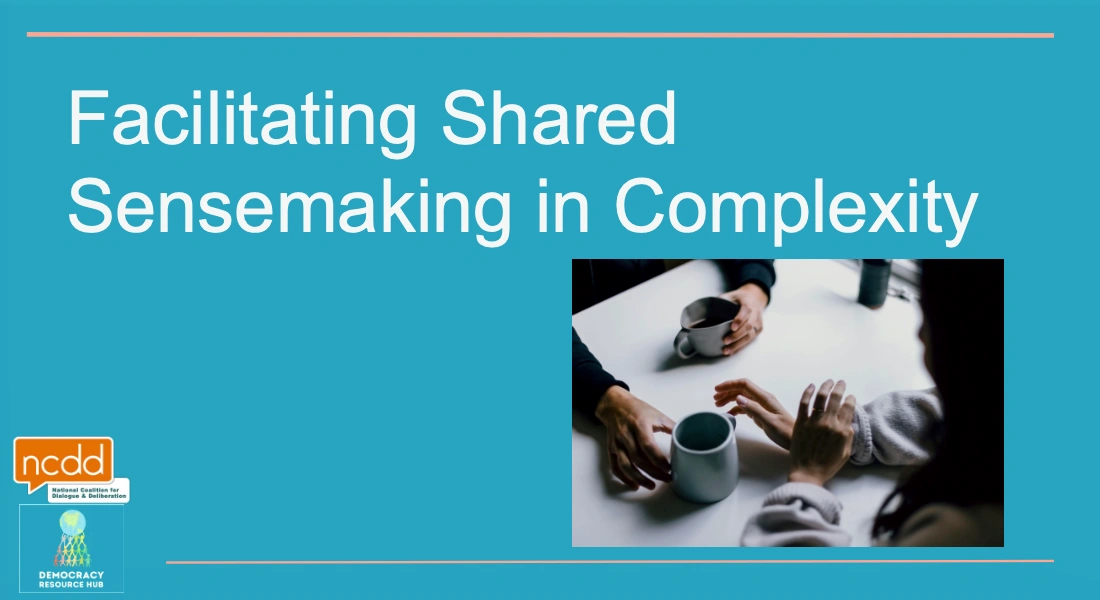 Slide cover - Title reads ' Facilitating Shared Sensemaking in Complexity'.