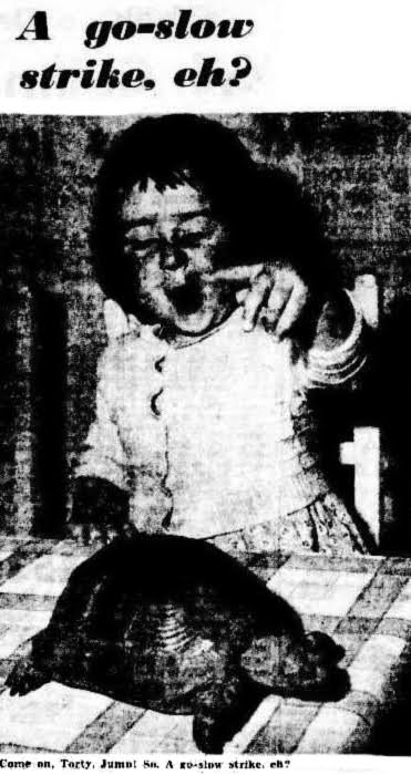 Excerpt from an old newspaper or flier. The heading says 'A go slow strike, eh?' above a photo of young girl with a tortoise.
