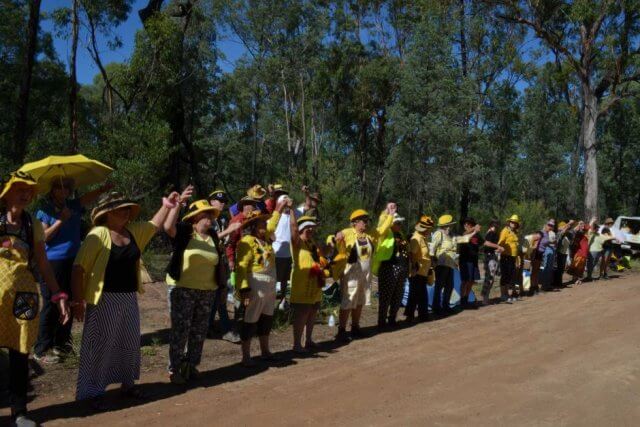  A row of protestors called the Knitting Nannas standing in front of a forest. They are holding hands and wearing yellow and black clothing.