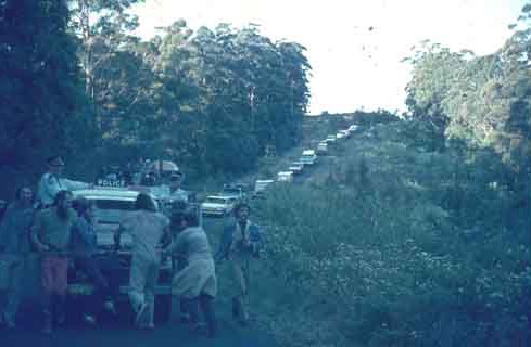 A long row of cars and protestors blockade a police and logging convoy in Nightcap forest in 1982.