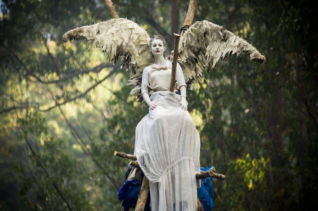 Protestor dressed as an angel with large feathered wings, white dress and white makeup, sitting on a timber tripod surrounded by trees.