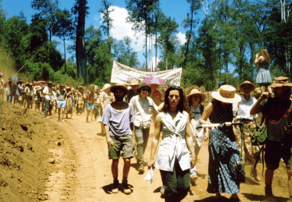 a long line of protesters walking down dirt road through logged forest