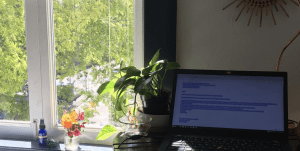 desk in front of window looking out on street scene with a laptop and a plant