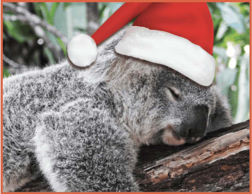 koala sleeping on a log with a santa hat on his head