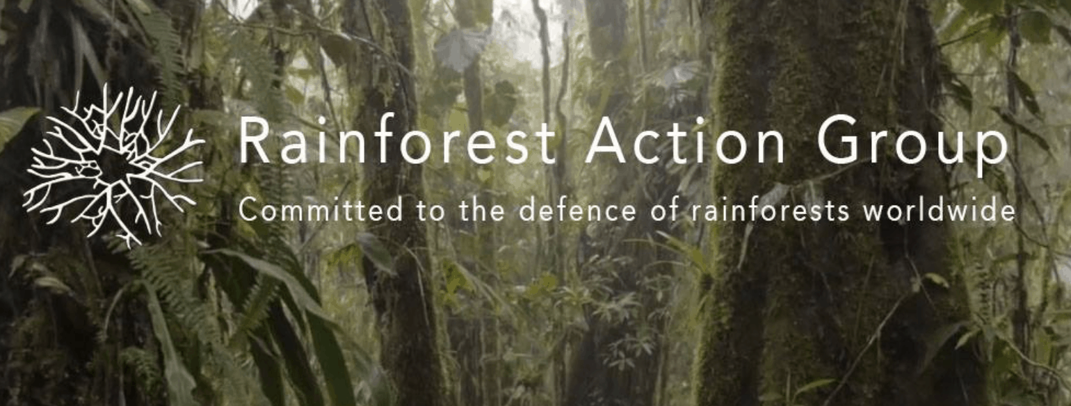 Photo of rainforest. Text overlayed reads 'Rainforest Action Group - Committed to the Defence of Rainforests Worldwide'.||A group of surfers in the water hold up a board reading "Boycott Rainforest Timber Imports"