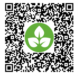 qr code with ACF leaf logo in the middle