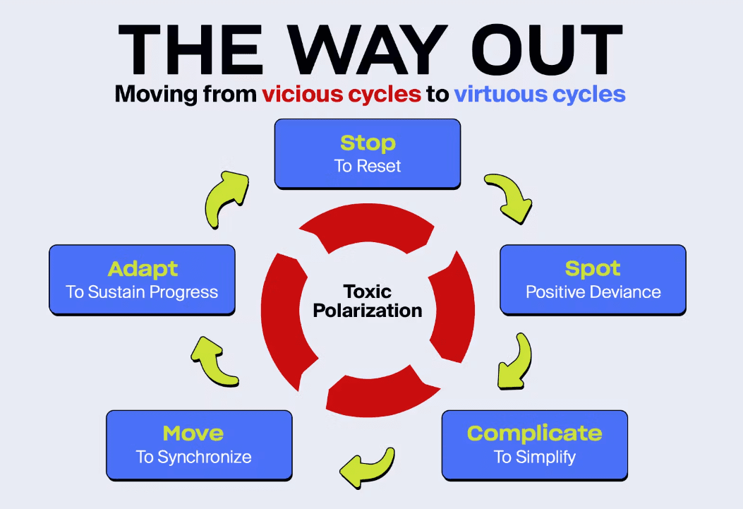 A graph of a circle with arrows and words. Title reads They way out: Moving from Vicious cycles to virtuous cycles. IN the middle of a red circle reads Toxic Polarization. Green arrows point to purple boxes with words that read: Stop to reset