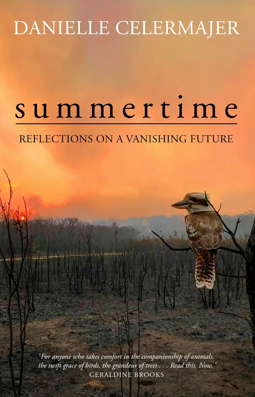 Book cover - Title reads 'Summertime Reflections on a vanishing future