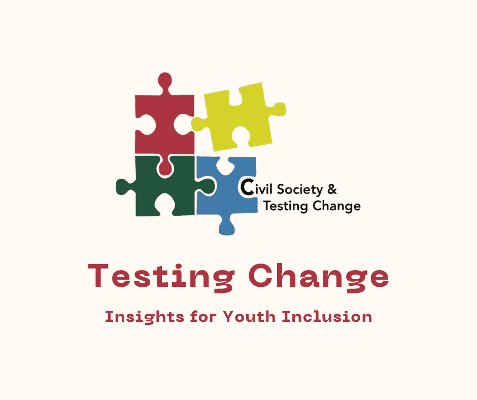 Title reads 'Testing Change Insights for Youth Inclusion'. Logo is four different coloured puzzle pieces.
