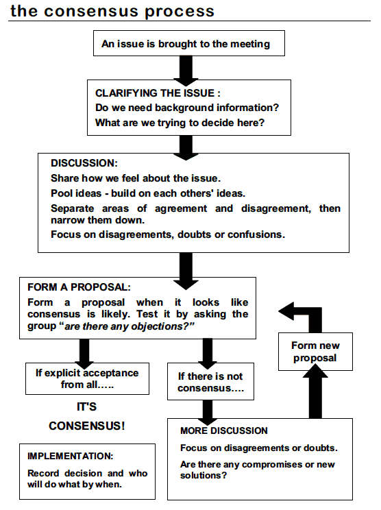 The-Consensus-Process