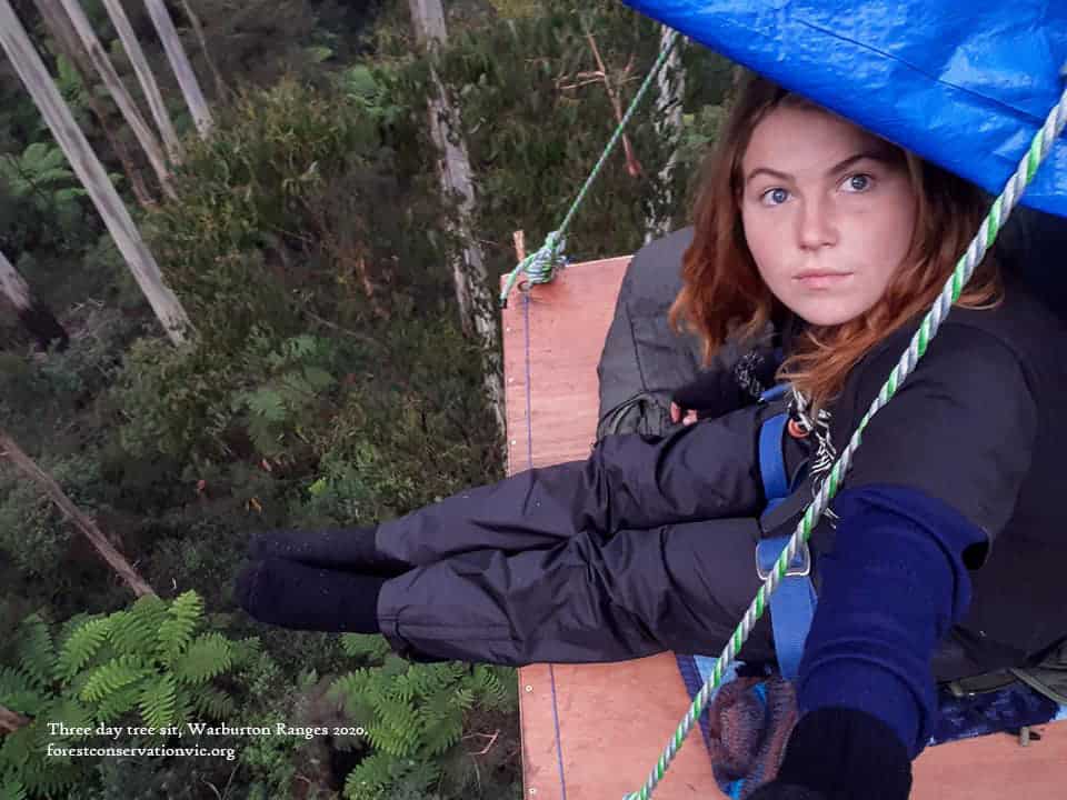 A young woman sits on a small timber platform in a tree high above the ground. Three day tree sit, Warburton Ranges 2020. 