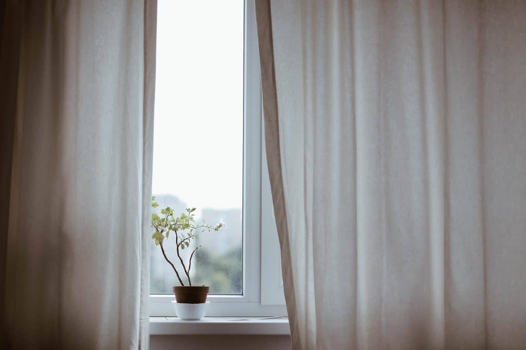 window with white curtains slightly open revealing a plant on the windowsill