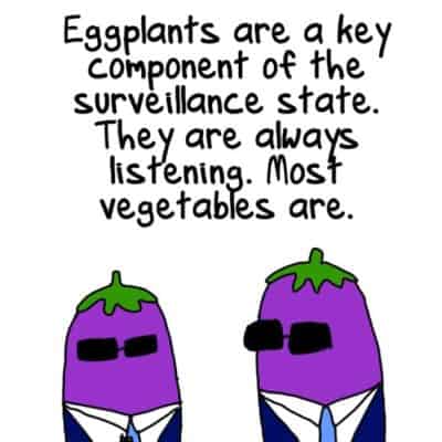 Cartoon of two eggplants in suits and sunglasses. Text reads 'Eggplants are a key component of the surveillance state. They are always listening. Most vegetables are.'