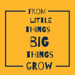 from little things big things grow