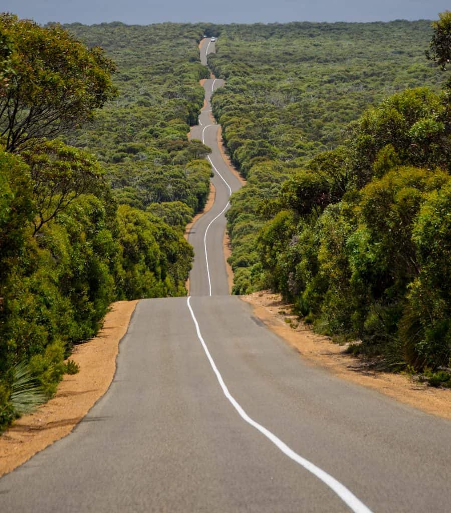 remote road surrounded by Australian bush on Kangaroo island