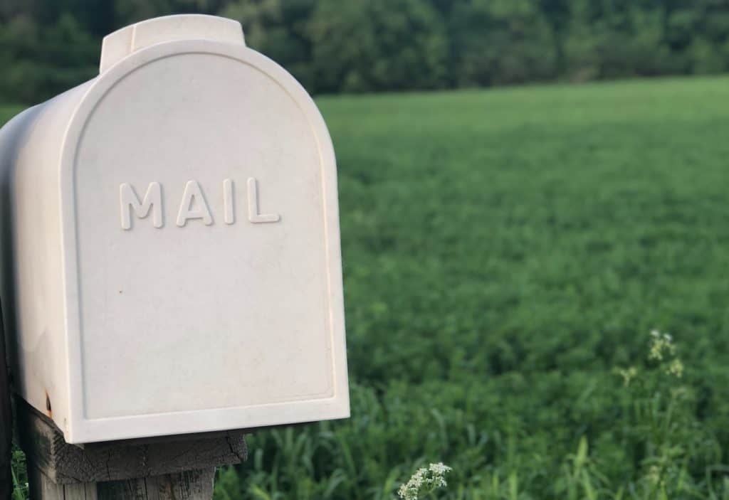 White mailbox sitting a field, with the word 'Mail' written on it.