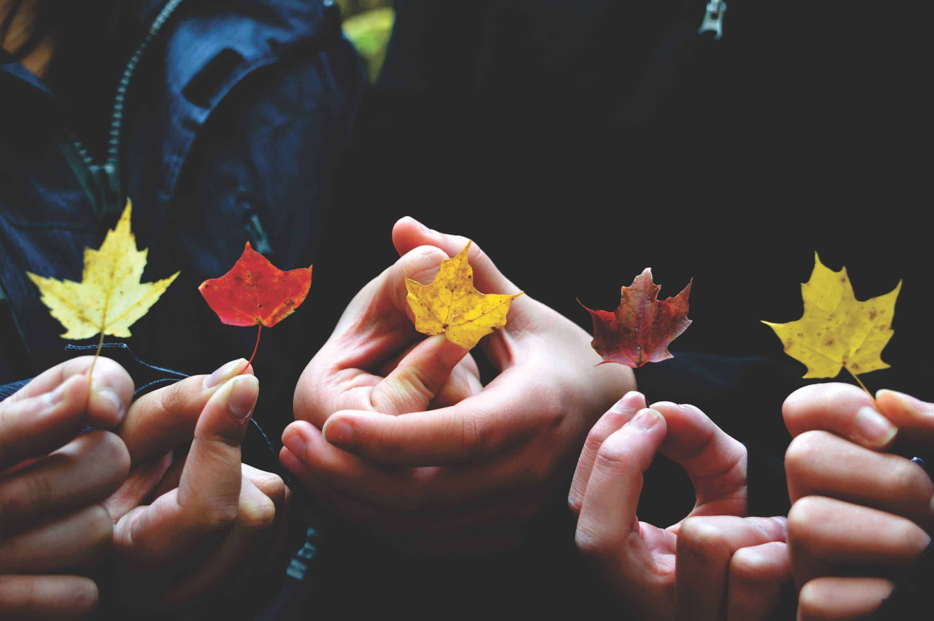 Close up photo of three hands holding small autumn leaves.