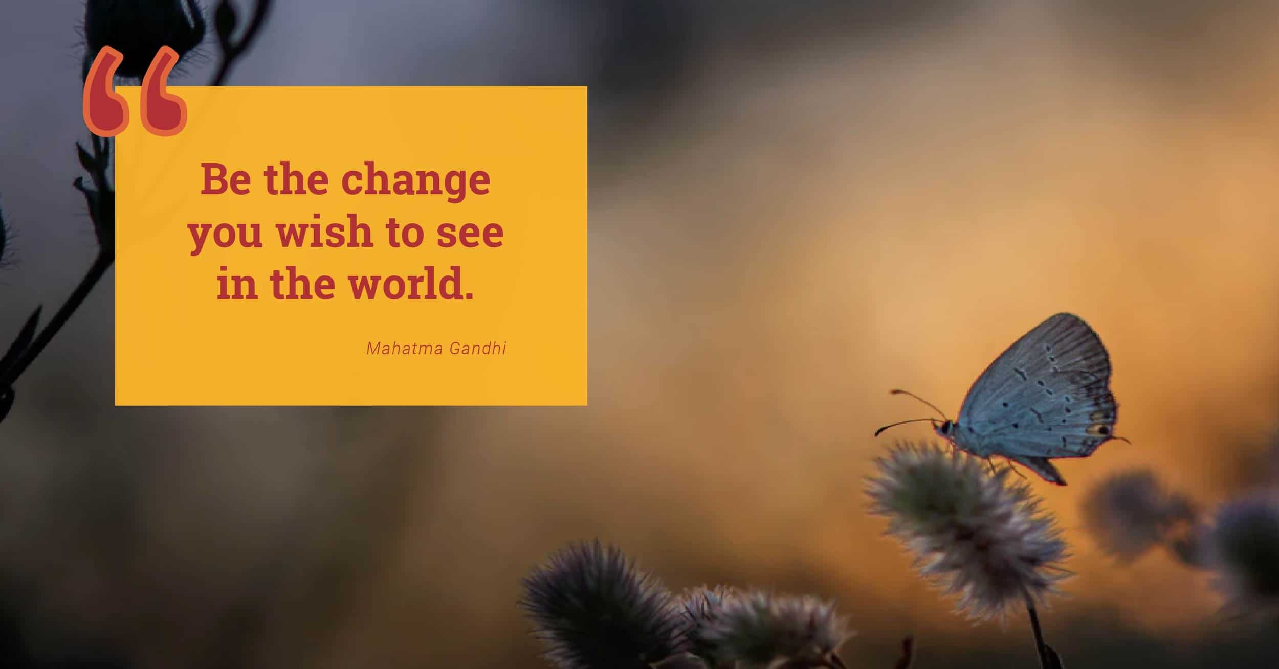 butterfly on flower at sunset with quote by Gandhi "Be the wish you wish to see in the world"