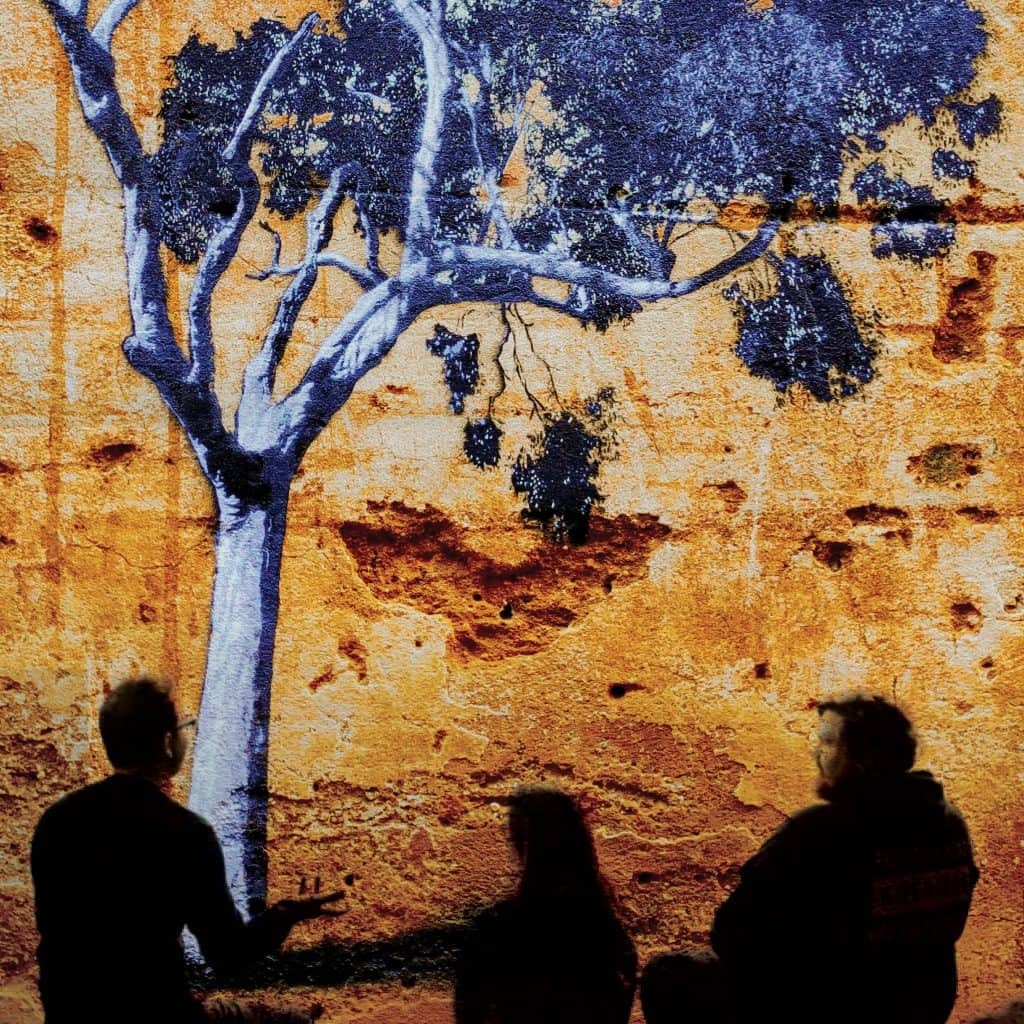 silhouette of three people sitting near gum tree