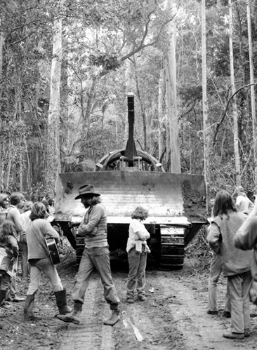 black and white photo of activists blockading machinery in forest at Terania